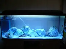 Modré světlo na osvětlení akvária