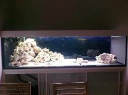 Nové akvárium pro Haps