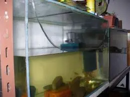 Prasklé akvárium v obýváku