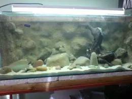 Akvárium Tanganika 570 litrů