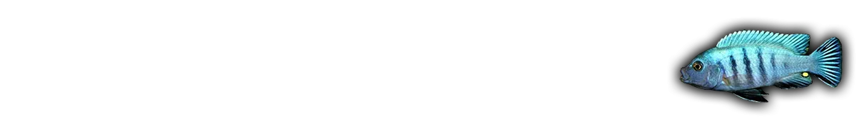 Tlamovci.cz - web pro chovatele afrických cichlid